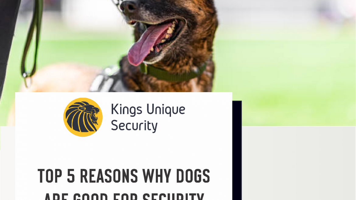Top 5 Reasons Why Dogs Are Good for Security